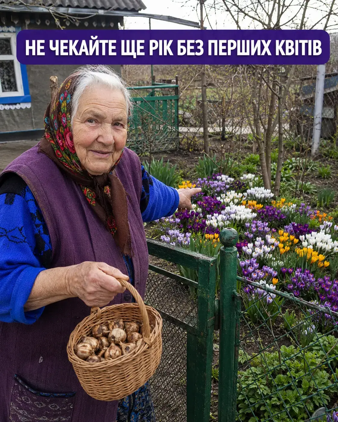 Бабуся з цибулинами біля квітучої клумби