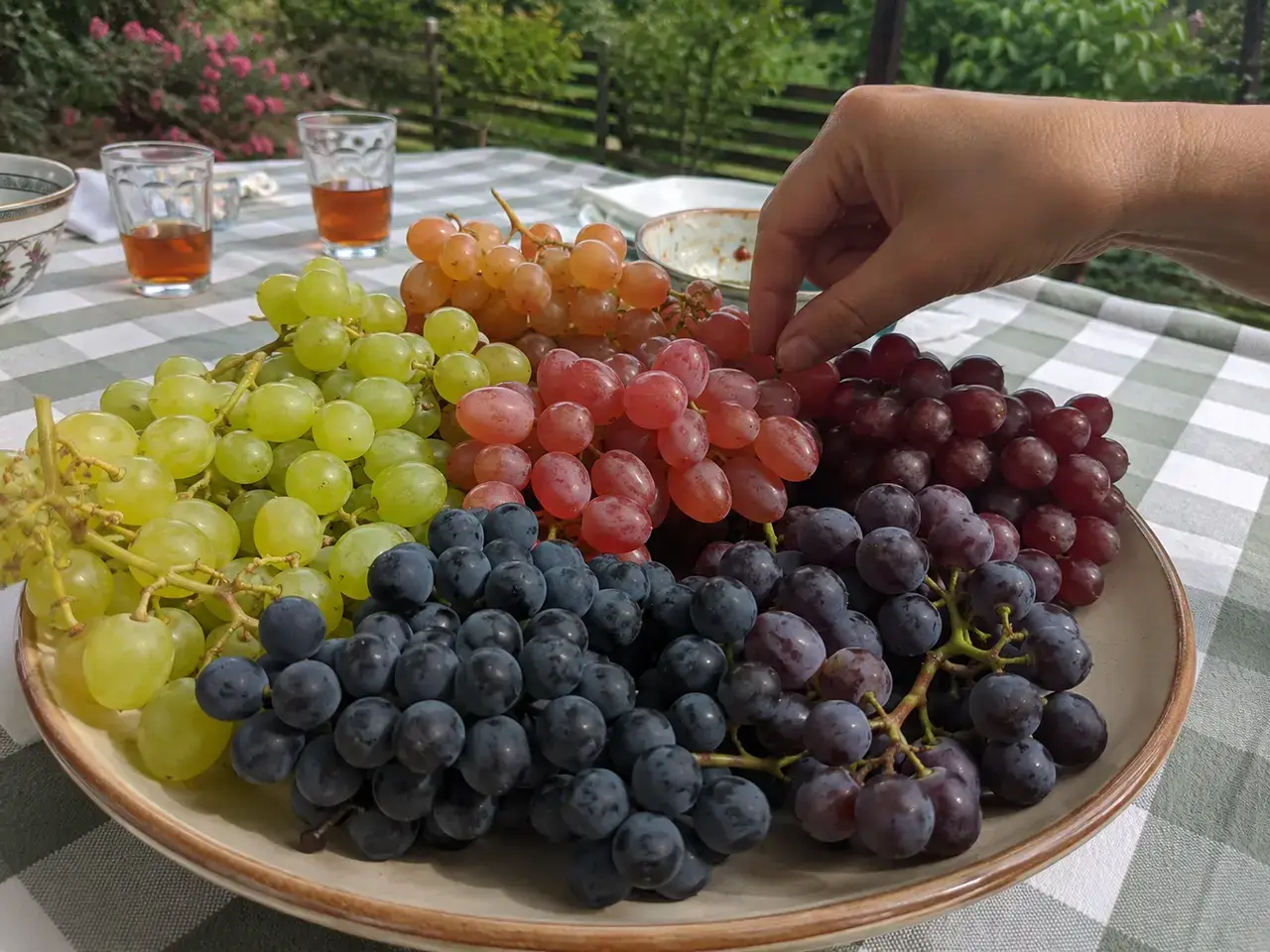 Тарілка з шістьма кольорами винограду