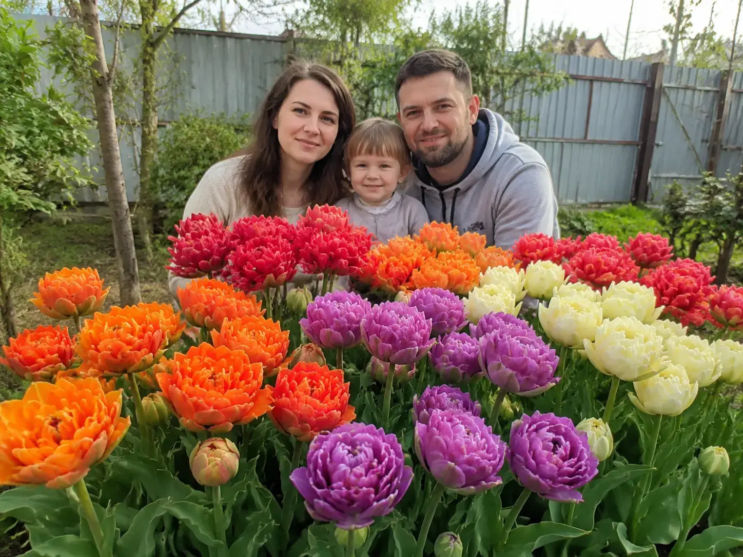 Родина біля пишних тюльпанів